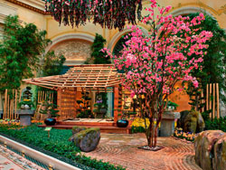 Bellagio Conservatory 