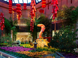 Bellagio Conservatory 
