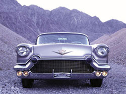 The Auto Collections 