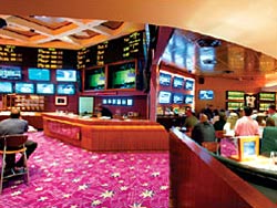 Hard Rock Hotel Sports Book