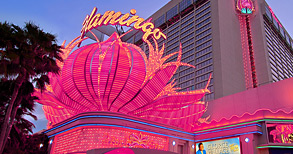 Las Vegas Hotels - Flamingo