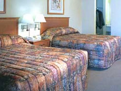 Arizona Charlie's Boulder Standard Room