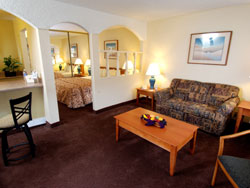 Best Western Mardi Gras Standard Room