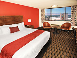 The D Las Vegas Standard Room