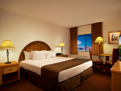 Fiesta Henderson Standard King