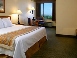 Gold Coast Deluxe Room