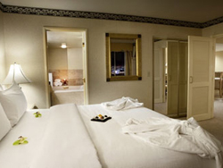 Monte Carlo Diamond Suite