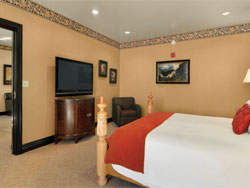 One-Bedroom Suite