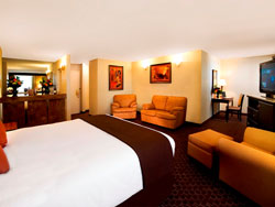 Riviera Studio Suite