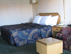 Ambassador Strip Inn Travelodge King Room
