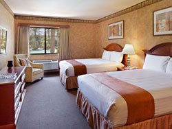 Terrible's Tower Room