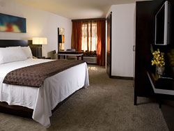 Gold Coast Premium Room