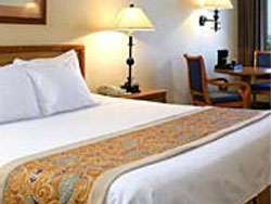 Gold Coast Deluxe Room