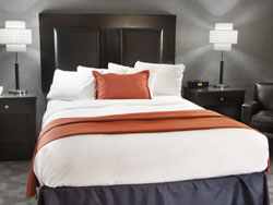 Golden Gate Standard Room with Queen Bed