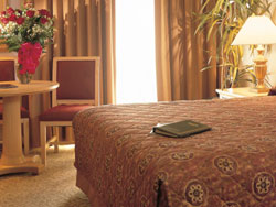 Harrah's Standard Room