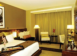 Aliante Standard Room