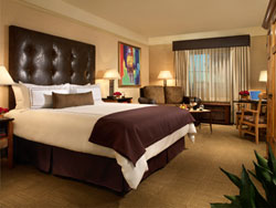 Silverton Standard Room