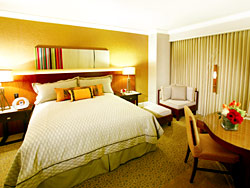 Mandalay Bay Standard Room