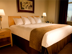 Stratosphere Tower Deluxe King Room