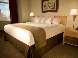 Stratosphere Premium View King