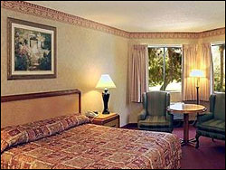 Terrible's Standard Room