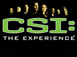 CSI: The Experience