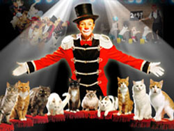 Gregory Popovich's Comedy Pet Theater