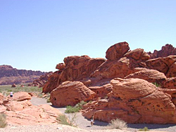 Valley of Fire tour