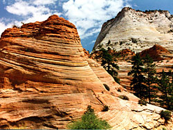 Zion tour