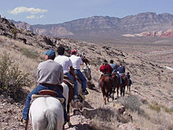 Red Rock Morning Horseback Ride