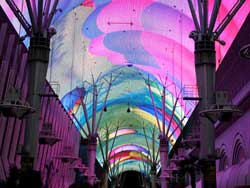 The Las Vegas City Tour