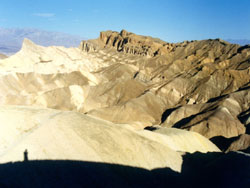 Pink Jeep Death Valley and cactus plant