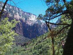 Zion and Virgin River 