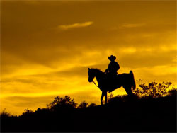 A Wild West Sunset Dinner Ride