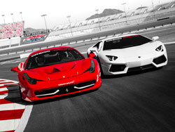 dream racing driving experience