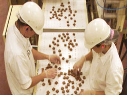 Ethel M Chocolate Factory and Botanical Cactus Gardens ...