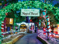 opportunity village las vegas magical forest opportunity village las vegas magical forest