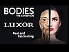 Bodies