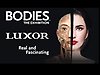Bodies