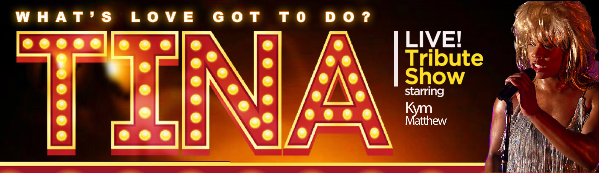 Tina Turner Tribute Show - What's Love Got To Do show