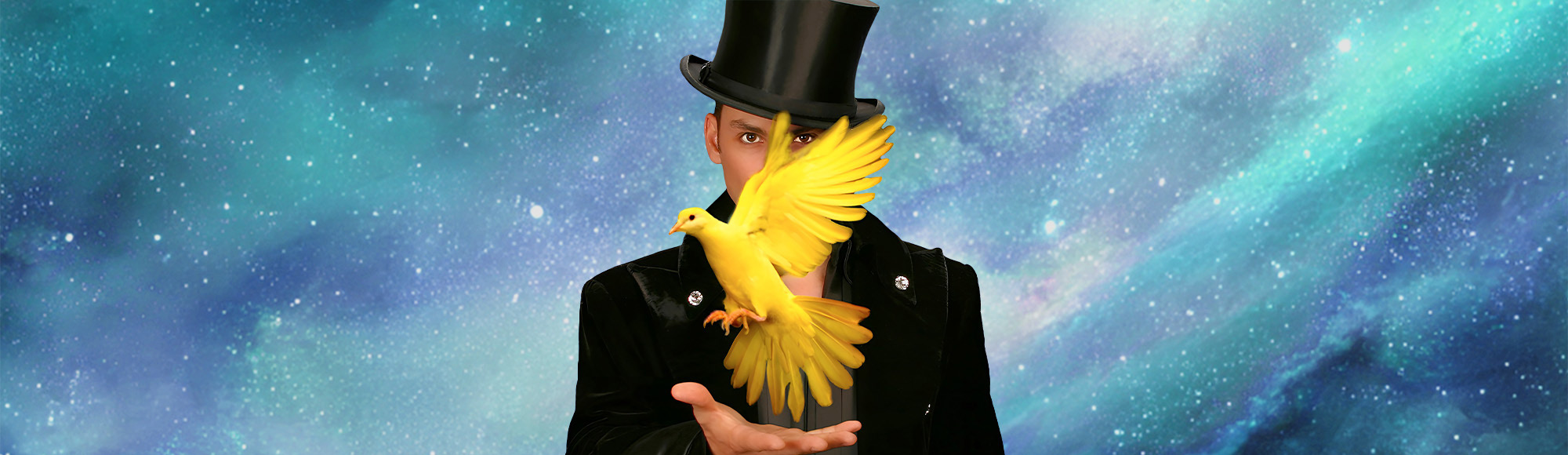 Allstars Of Magic show