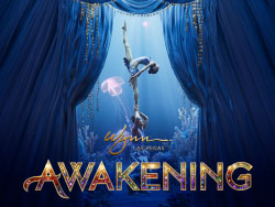 Awakening
