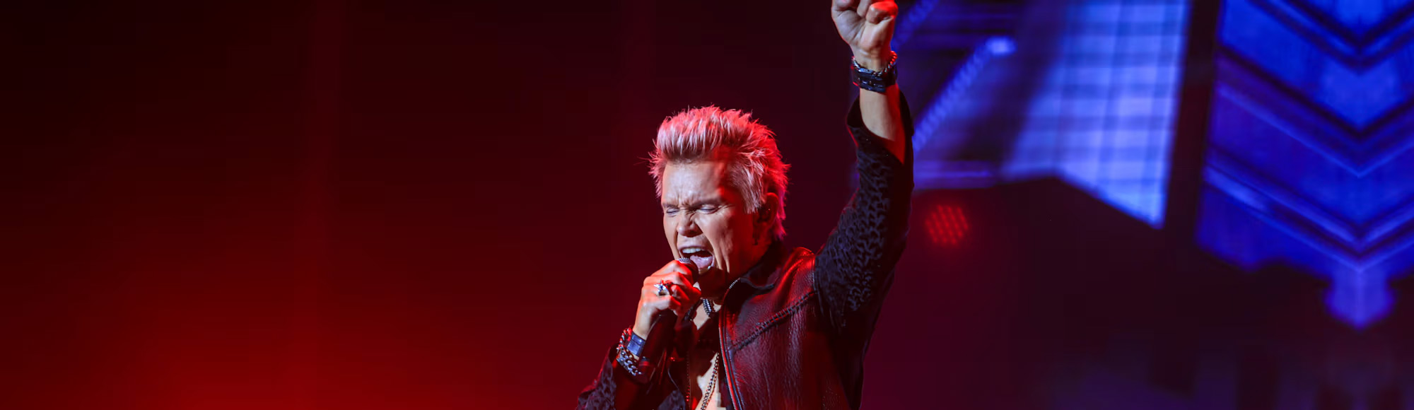 Billy Idol Show