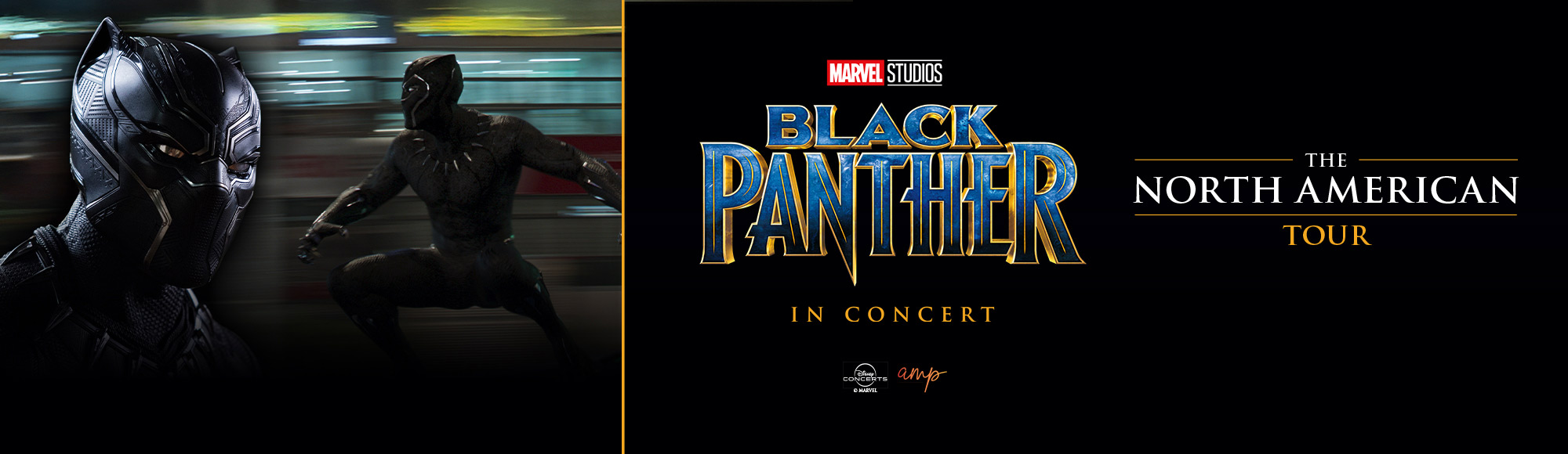Marvel Studios Black Panther In Concert