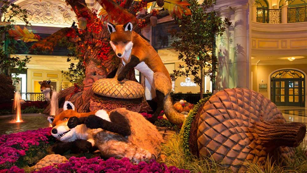 Bellagio Conservatory and Botanical Gardens - 