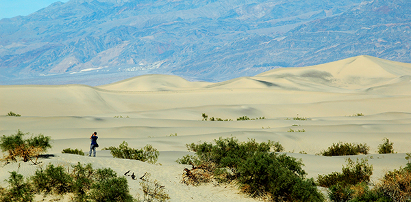 Death Valley VIP Tour - Sand Dunes 
