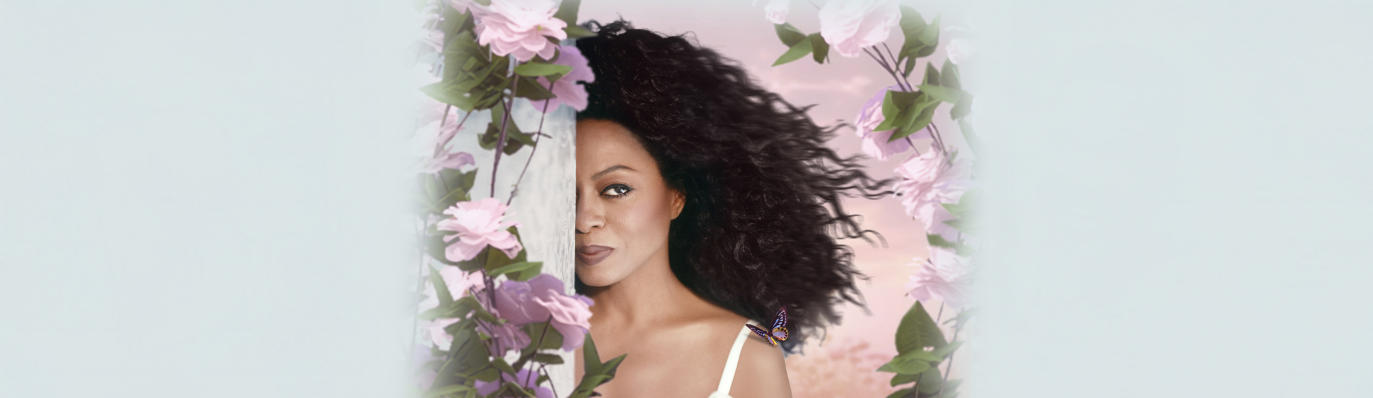 Diana Ross Show
