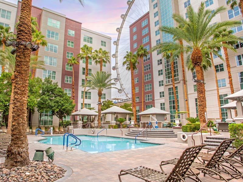 Pool - Hilton Grand Vacations Club Flamingo