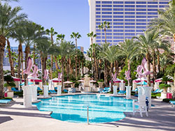 Flamingo Las Vegas Hotel Casino