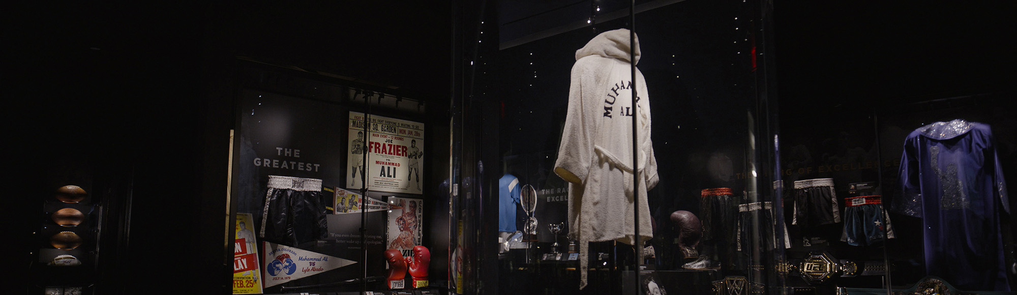 Hall of Excellence attraction